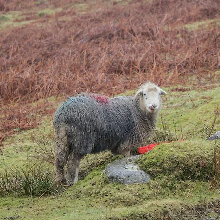 Hazel Nook 21 Ullswater Appartamento *
